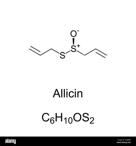 Allicin, chemical formula and structure. Organosulfur compound obtained from garlic. Chopping or ...