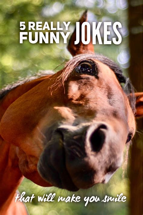 5 really funny jokes that will make you smile - Roy Sutton