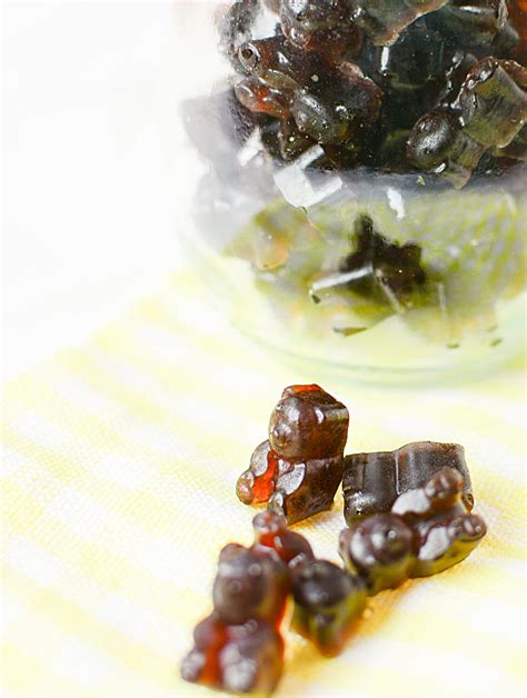 Healthy Elderberry Syrup Gummies | The Salty Pot