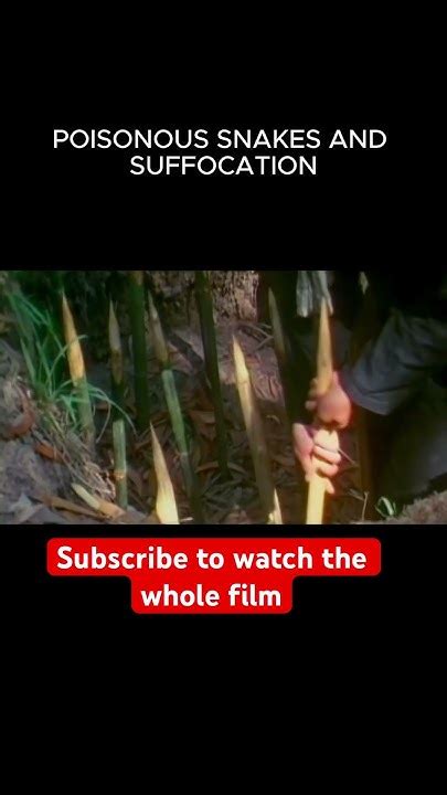 TUNNEL RATS of VIETNAM #shorts #youtubeshorts #vietnam #war #history #documentary - YouTube