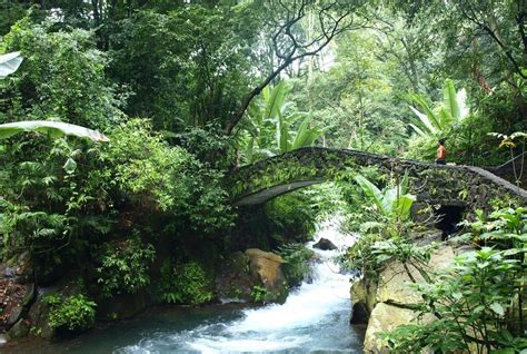 Parque Nacional de Uruapan | Mexico travel, National parks, Places to visit