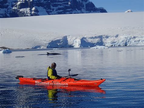 Kayaking in Antarctica - Quixote Expeditions