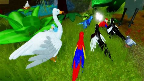 Bird Simulator - Feather Family - Best Moment - Roblox - YouTube