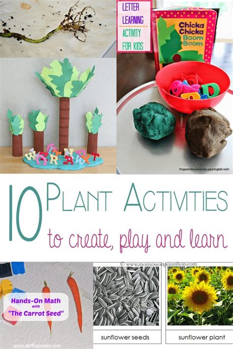 10 Fun and Simple Toddler and Preschool Plant Activities