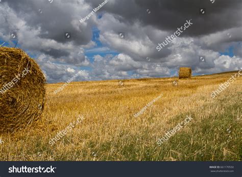 683 Make hay harvests Images, Stock Photos & Vectors | Shutterstock