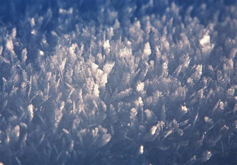 Snow crystals