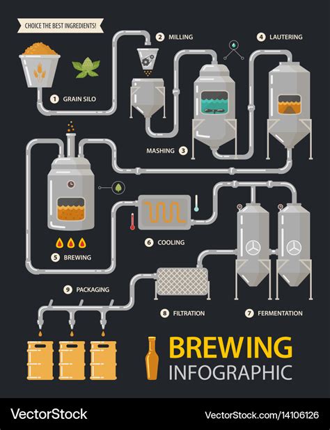 Beer infographic or brewery line factory process Vector Image