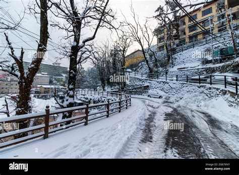 Latest views of Snowfall in Shimla Stock Photo - Alamy