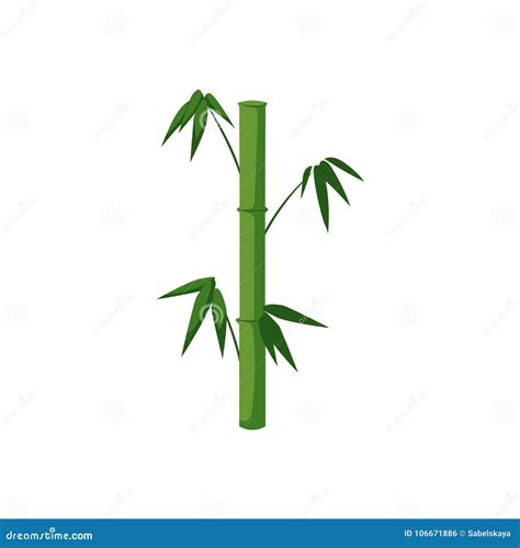 Vector Flat Cartoon Bamboo Stem with Leaves Icon Stock Vector - Illustration of exotic, east ...