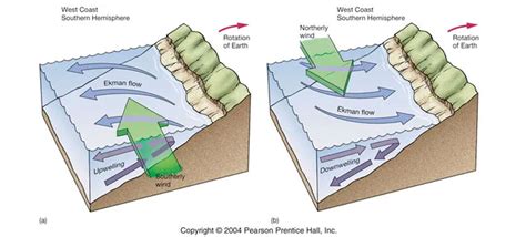 Upwelling and Downwelling: Definition and the Role of Wind Current