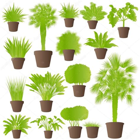 Exotic jungle bushes grass, reed, palm tree wild plants set vect — Stock Vector © k3studija ...