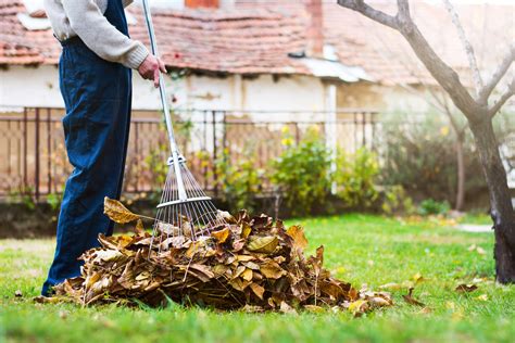 The Guide to Fall Lawn Maintenance for a Flourshing Yard Next Spring ...