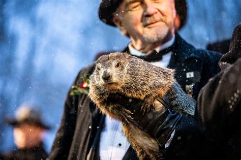 Groundhog Day 2022: How to see Punxsutawney Phil and Staten Island ...