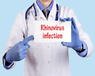 Jason Jaramillo on Blogger: Rhinovirus Infection Symptoms