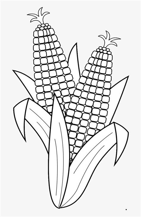 19 Corn Clip Black And White Drawing Huge Freebie Download - Fruits And Vegetables Clipart Black ...