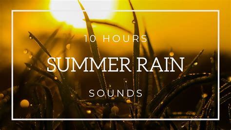 🌧️ 10 Hours Rain Sounds Summer Rain | Natural Sleep Sounds | Sleep Instantly Within 5 Minutes ...