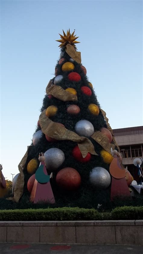 Elder and Sister Snow: Christmas in the Dominican Republic