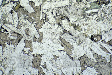 Gabbro. Siberia. Thin section in plane polarized light. 32X - Gabbro - Plutonic rock - Igneous ...