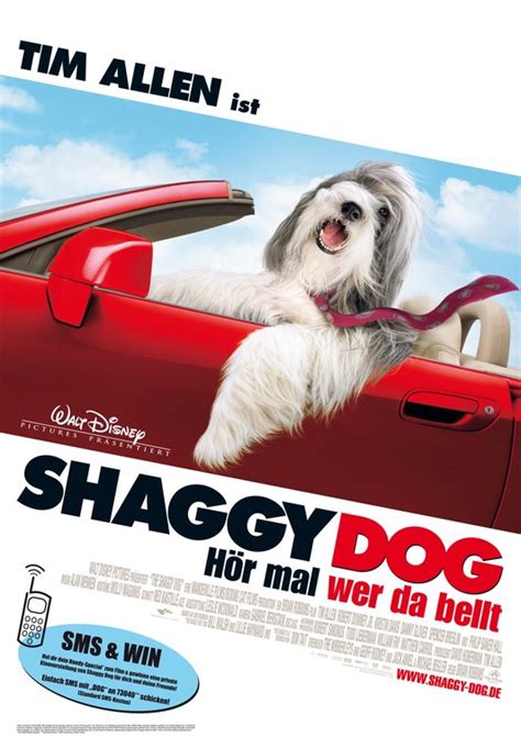 The Shaggy Dog Movie Poster (#2 of 2) - IMP Awards