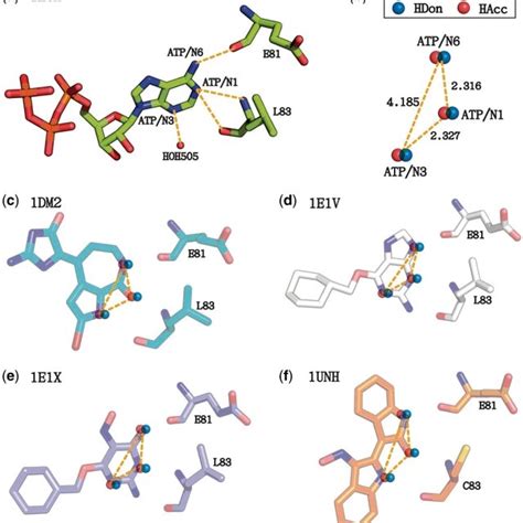 Schematic diagrams illustrating the CDK inhibitor pharmacaphore search.... | Download Scientific ...