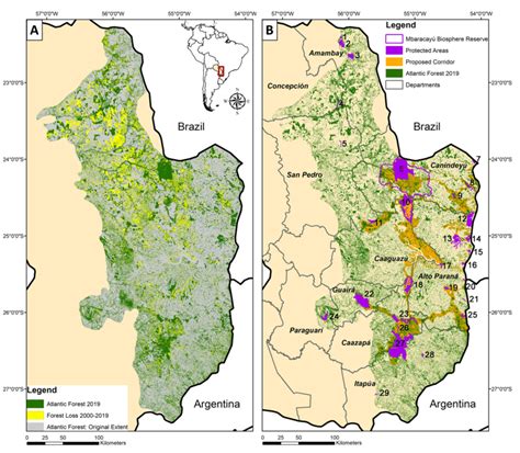 (A) Map of the original extent of the Atlantic Forest in Paraguay... | Download Scientific Diagram