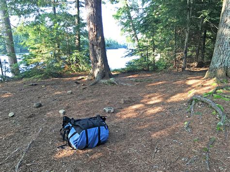 Big Trout Lake Campsite #27 in Algonquin Park | Campsite Report