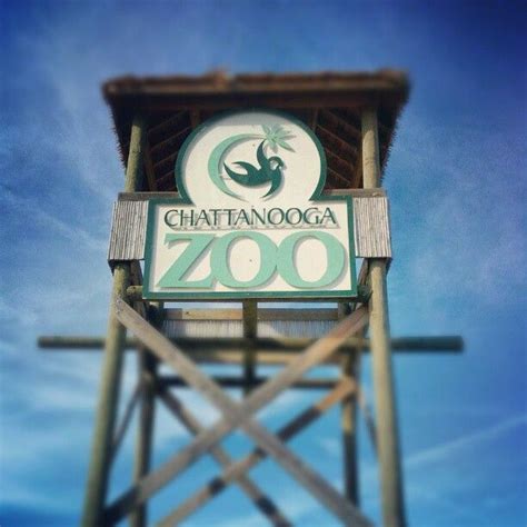 Warner Park Chattanooga Tn Zoo