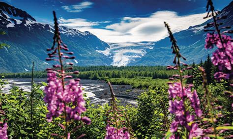 Kenai Fjords National Park - Alaska Magazine