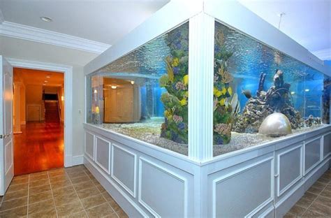 Check Out Arenas' Shark Tank This Weekend | Fish tank design, Aquarium design, Amazing aquariums