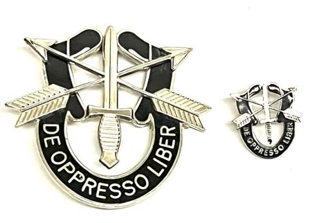 US Special Forces Insignia Distintctive Unit Insignia Oversize - Enemy ...