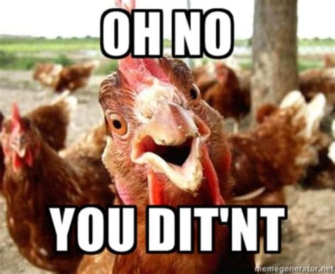 20 Chicken Memes That Are Surprisingly Funny - SayingImages.com