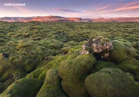 Eldhraun | Guide to Iceland