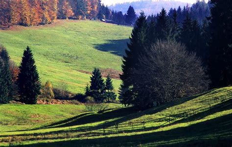 30 best images about Thuringia - Germany on Pinterest | Church, Gotha and Shelters