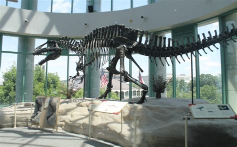 North Carolina Museum of Natural Science | EXTINCT MONSTERS