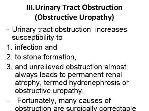 III Urinary Tract Obstruction Obstructive Uropathy Urinary tract