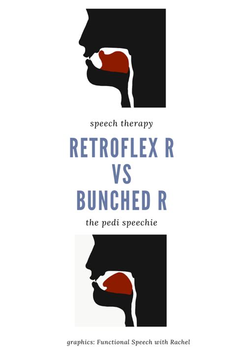 Retroflex R vs Bunched R in Speech Therapy - The Pedi Speechie