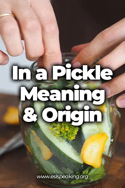 In a Pickle Meaning, Origin, Examples | Learn English Idiom