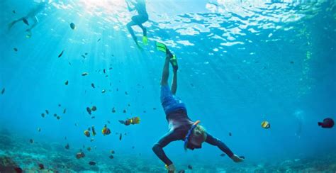 Everything You Must Know About Snorkeling in Maldives