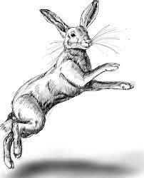 Image result for running hare tattoo | Hare sketch, Sketches, Hare drawing