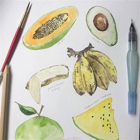 Fruit watercolor sketch by artist and designer paintstobrushes. #sketch #sketchbook | Watercolor ...