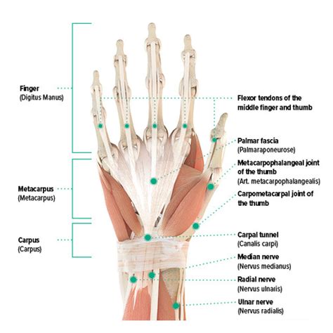 Hand pain – causes and treatment - Juzo