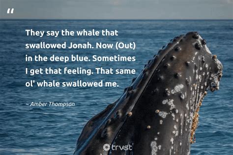 35 Whale Quotes To Help You Be Calm And Hopeful