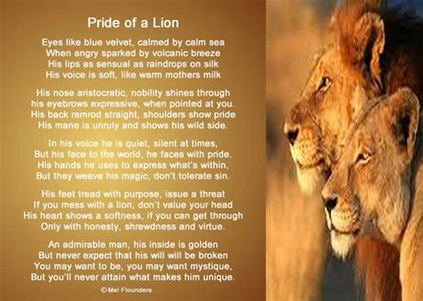 Pride of a Lion poem | Mother milk, Lion eyes, Pride means