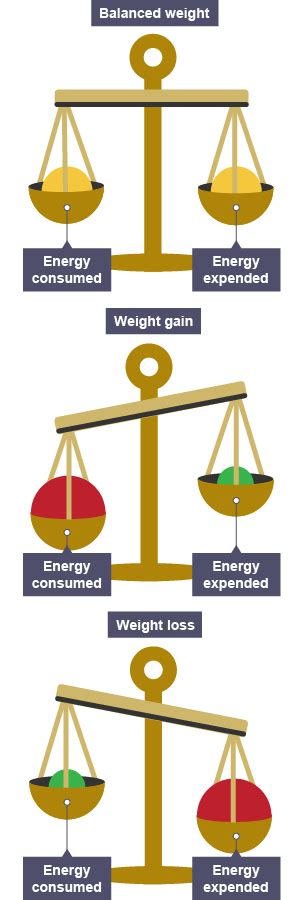 Energy balance equation and question - Diet and nutrition - OCR - GCSE Physical Education ...