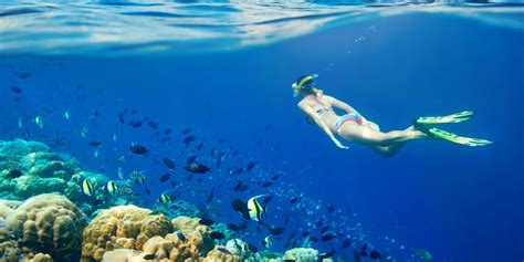 Snorkeling Trip in Hurghada - Egypt Tours Portal