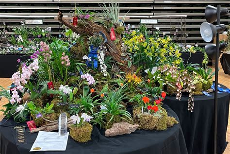 Annual Orchid Show | Genesee Region Orchid Society, Inc.