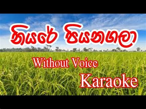 Niyare Piyanagala Karaoke Songs for party - Saman De Silva - YouTube