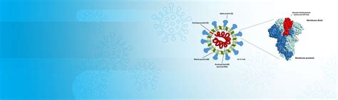 Coronavirus COVID-19 Facts & Resources | Mount Sinai - New York