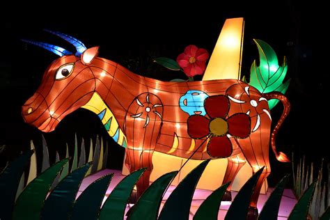 Chinese Zodiac - Ox | The lighted-up Chinese zodiac animals … | Flickr