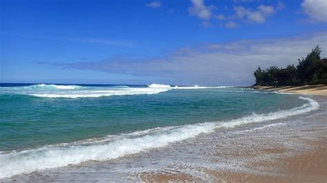 Sunset Beach Park (Haleiwa) - All You Need to Know BEFORE You Go ...